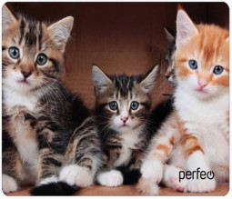 Perfeo Коврик для компьютерной мыши "Cat", Рис.6 (350*250*4 мм), ткань+резиновое основание