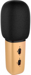 Караоке Xiaomi Just Sing C1 золотой