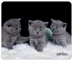 Perfeo Коврик для компьютерной мыши "Cat", Рис.26 (180*220*2 мм), ткань+резиновое основание